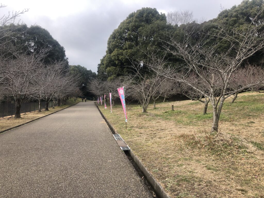 佐布里メイン通り