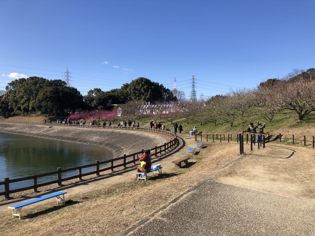 佐布里池のほとり