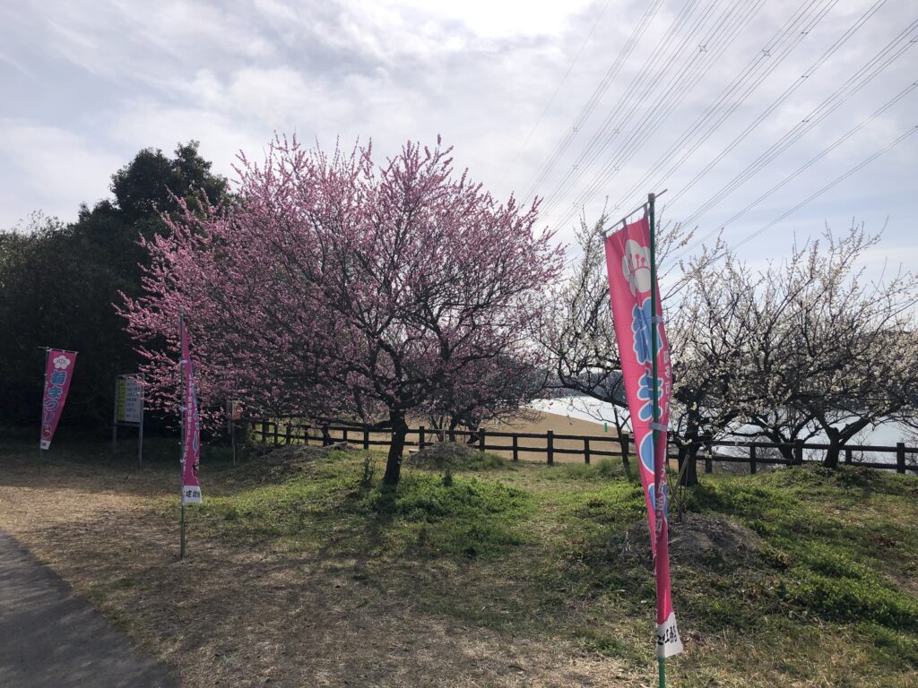 水の生活館　付近