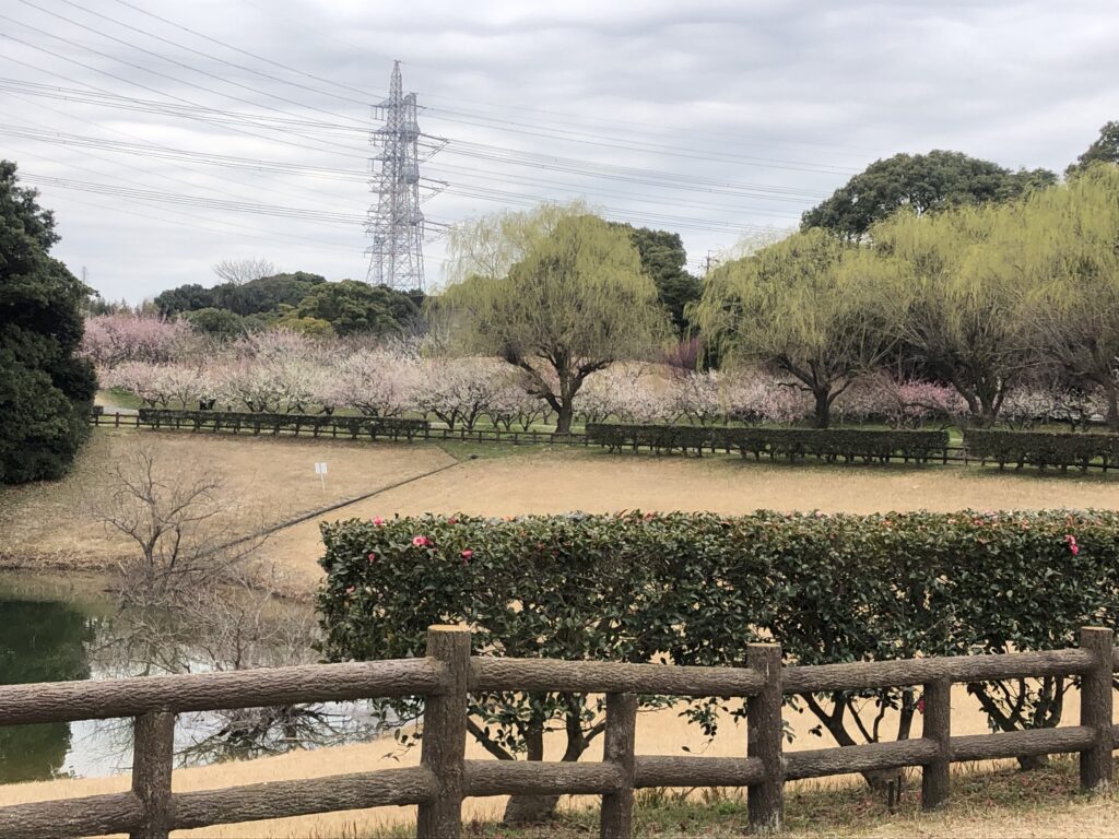 水の生活館