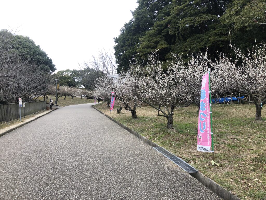 梅まつり会場　メイン通り