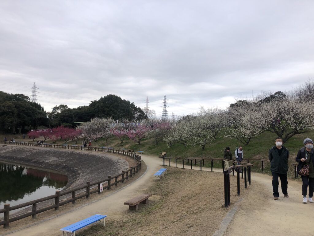 梅まつり会場 メイン通り