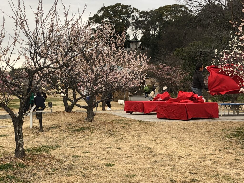 佐布里池梅まつり　イベント準備